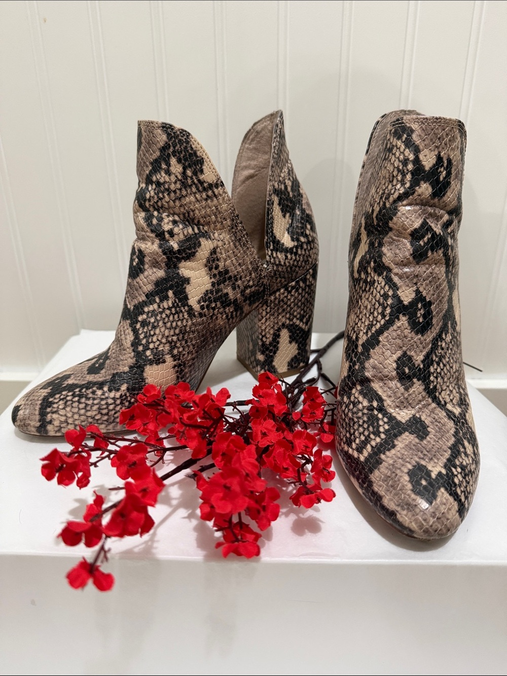 #973 STEVE MADDEN Snake-Print Ankle Boots in Taupe and Black